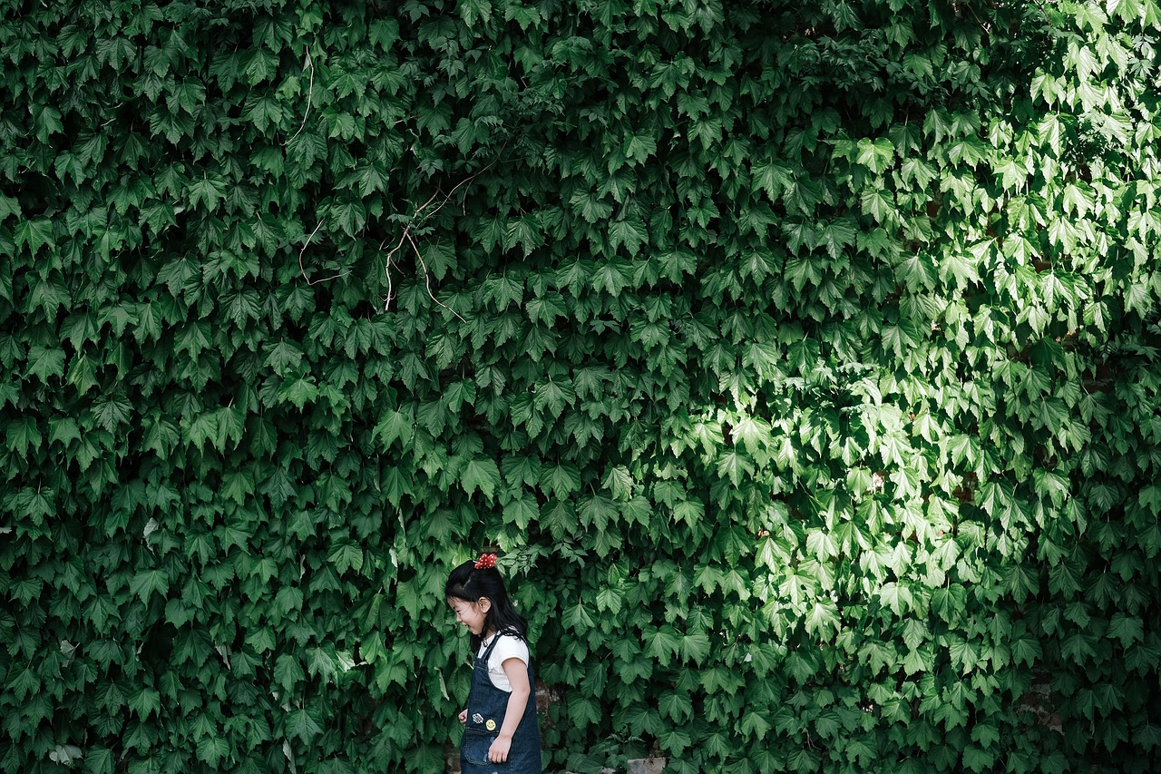 广东省女性网，探索现代女性的力量与魅力