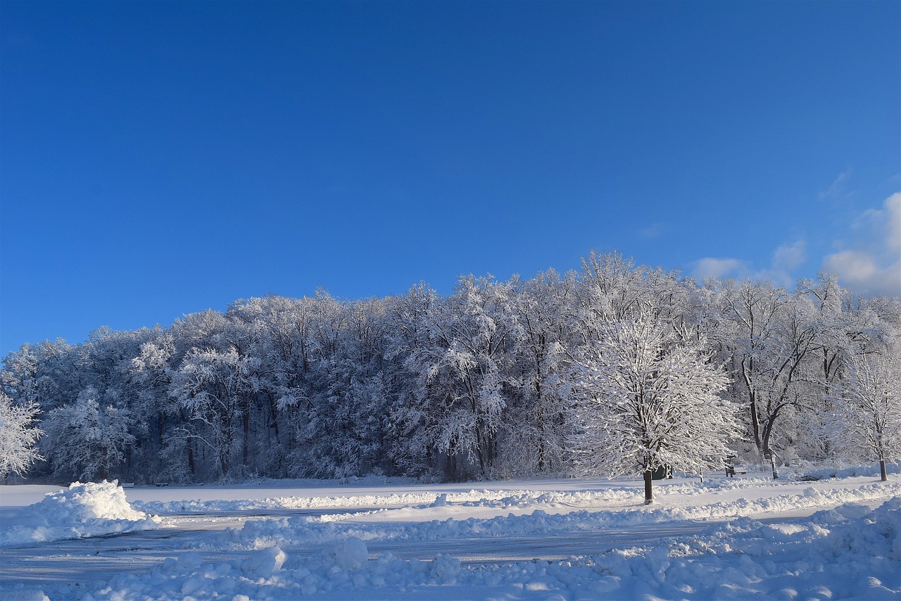 江苏农牧科技学院雪舞纷飞的美景