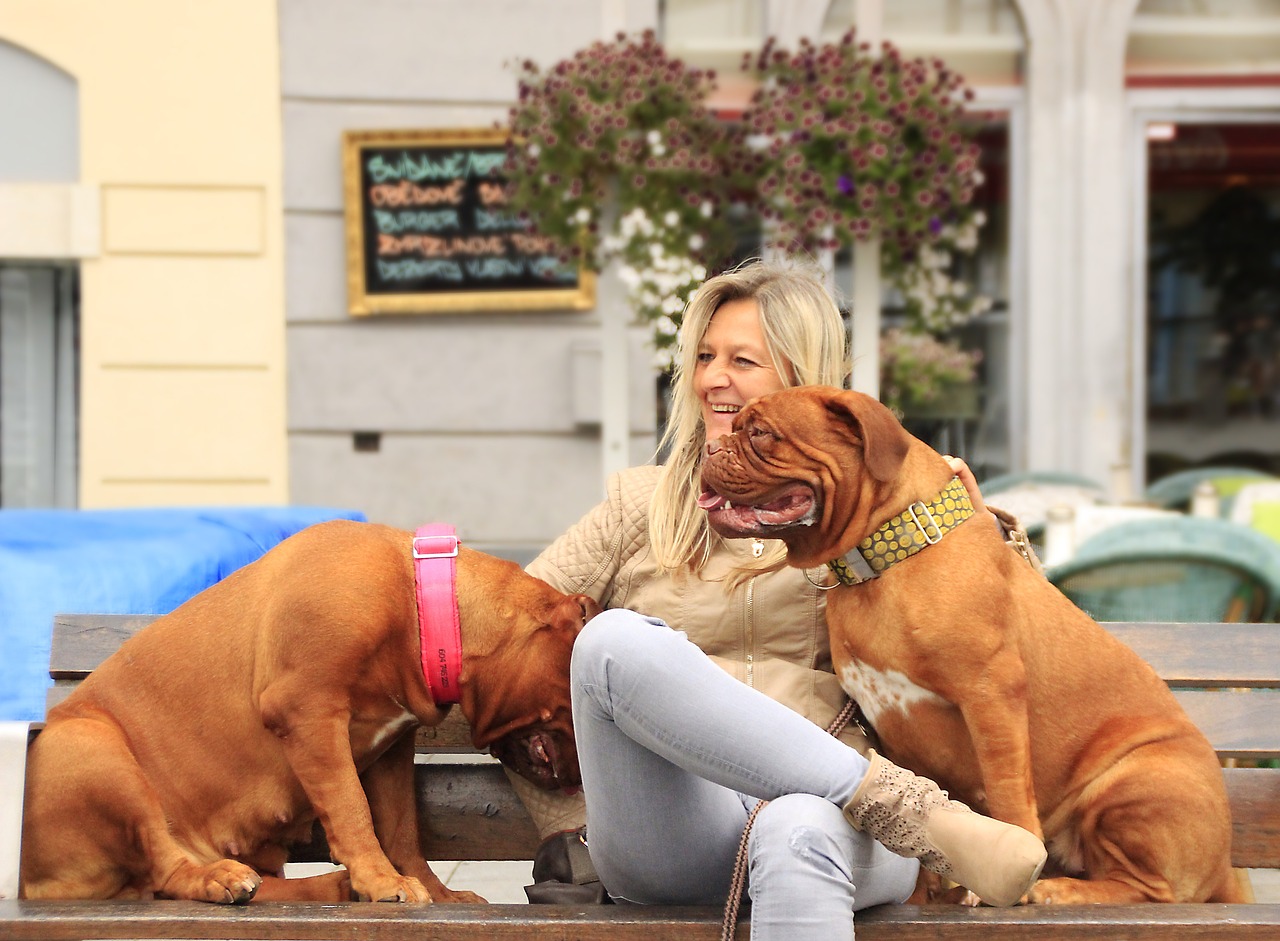 萨摩耶犬两个月时的体重研究，生长、营养与健康的交织